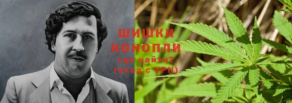 гидропоника Бронницы